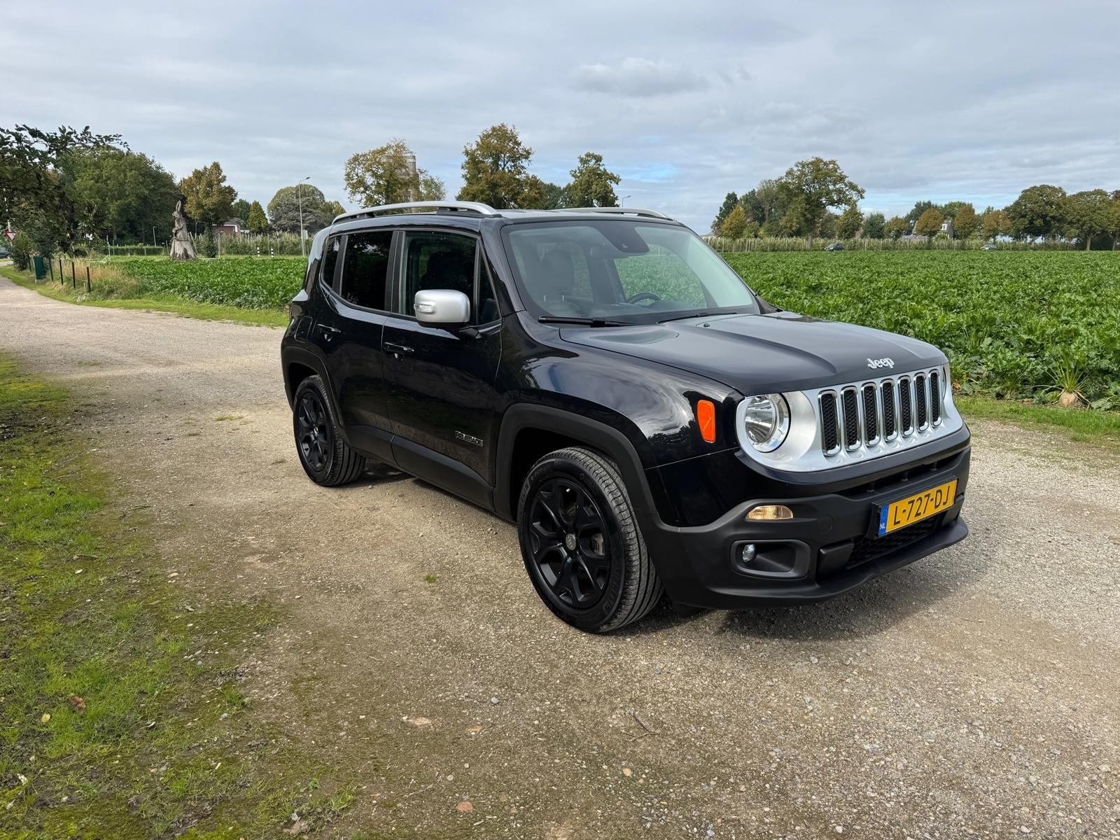 Jeep Renegade, foto 5 van 11